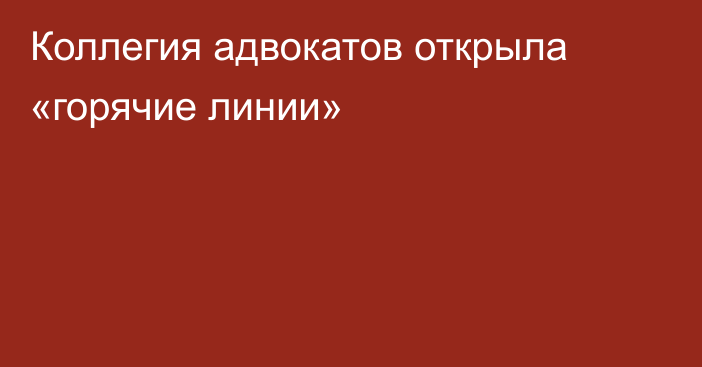 Коллегия адвокатов открыла «горячие линии»