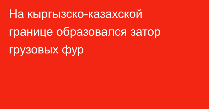 На кыргызско-казахской границе образовался затор грузовых фур