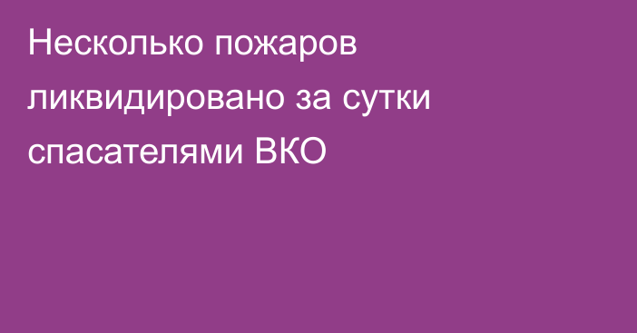 Несколько пожаров ликвидировано за сутки спасателями ВКО