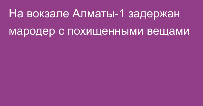 На вокзале Алматы-1 задержан мародер с похищенными вещами