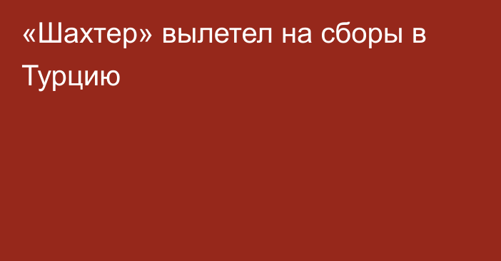 «Шахтер» вылетел на сборы в Турцию