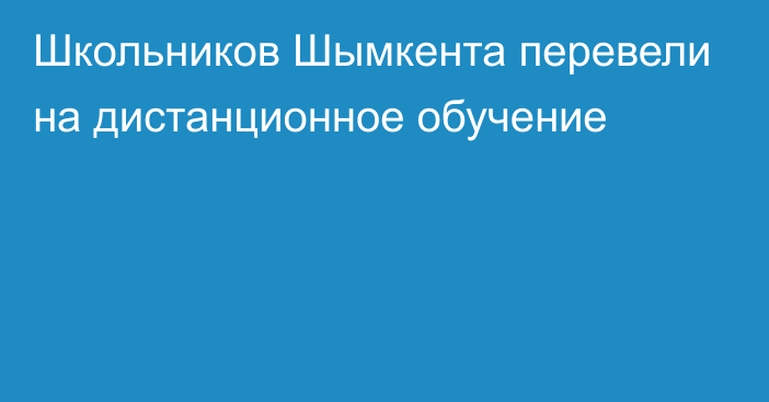 Школьников Шымкента перевели на дистанционное обучение