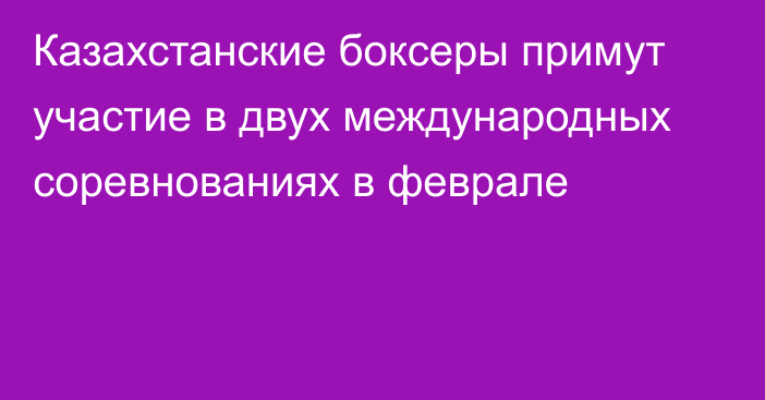 Казахстанские боксеры примут участие в двух международных соревнованиях в феврале