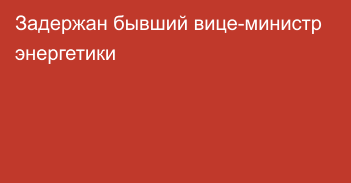 Задержан бывший вице-министр энергетики