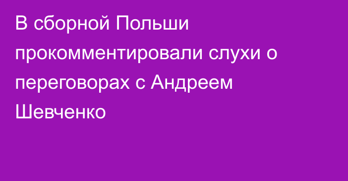 В сборной Польши прокомментировали слухи о переговорах с Андреем Шевченко