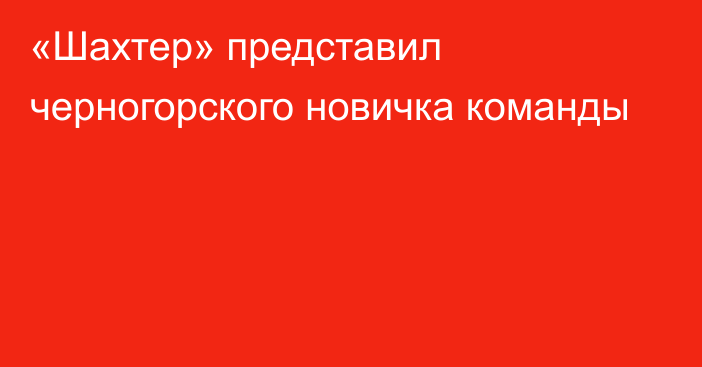 «Шахтер» представил черногорского новичка команды