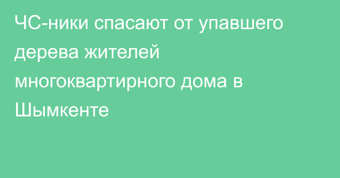 ЧС-ники спасают от упавшего дерева жителей многоквартирного дома в Шымкенте