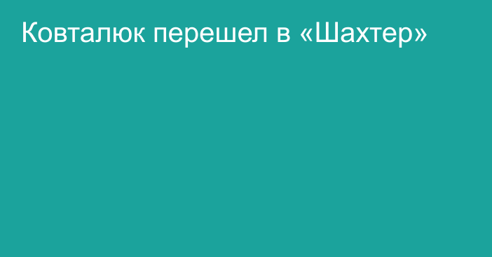 Ковталюк перешел в «Шахтер»