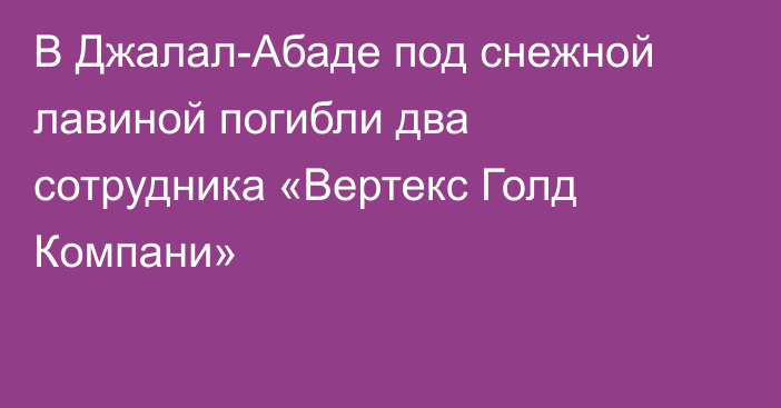 В Джалал-Абаде под снежной лавиной погибли два сотрудника «Вертекс Голд Компани»