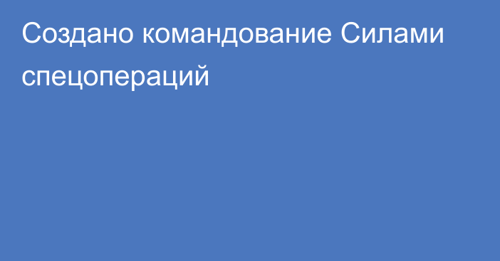 Создано командование Силами спецопераций