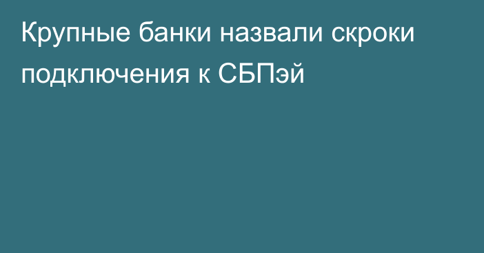 Крупные банки назвали скроки подключения к СБПэй