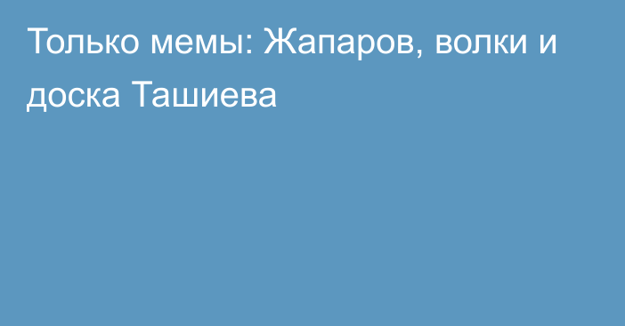 Только мемы: Жапаров, волки и доска Ташиева