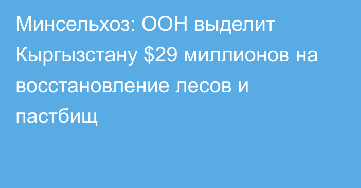 Минсельхоз: ООН выделит Кыргызстану $29 миллионов на восстановление лесов и пастбищ