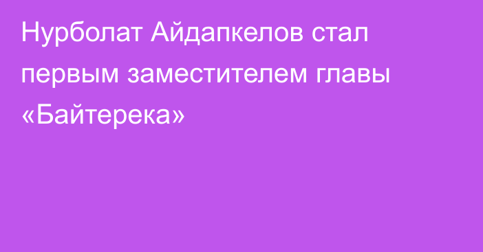 Нурболат Айдапкелов стал первым заместителем главы «Байтерека»