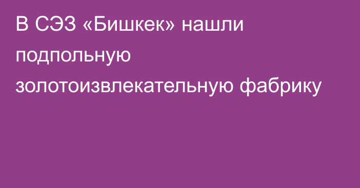 В СЭЗ «Бишкек» нашли подпольную золотоизвлекательную фабрику