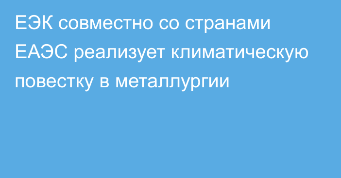 ЕЭК совместно со странами ЕАЭС реализует климатическую повестку в металлургии