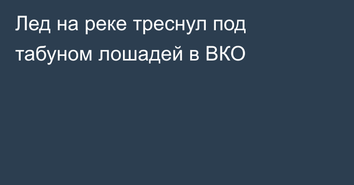 Лед на реке треснул под табуном лошадей в ВКО