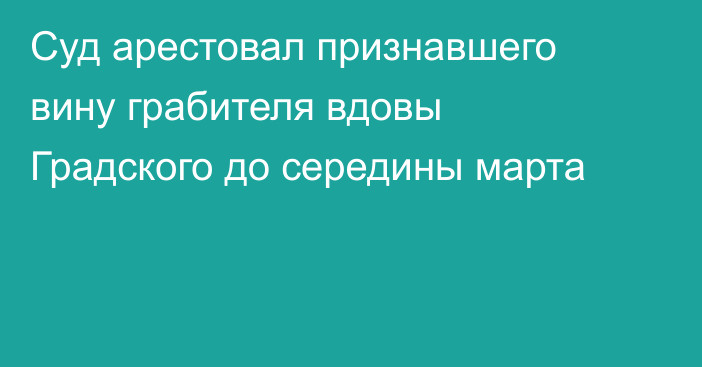 Суд арестовал признавшего вину грабителя вдовы Градского до середины марта