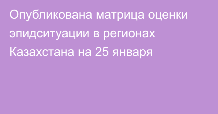 Опубликована матрица оценки эпидситуации в регионах Казахстана на 25 января