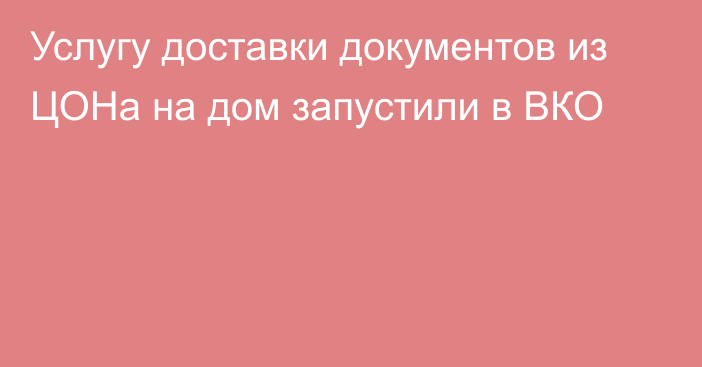 Услугу доставки документов из ЦОНа на дом запустили в ВКО