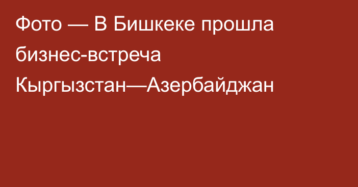 Фото — В Бишкеке прошла бизнес-встреча Кыргызстан—Азербайджан