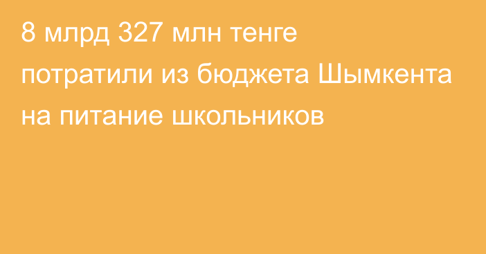 8 млрд 327 млн тенге потратили из бюджета Шымкента на питание школьников