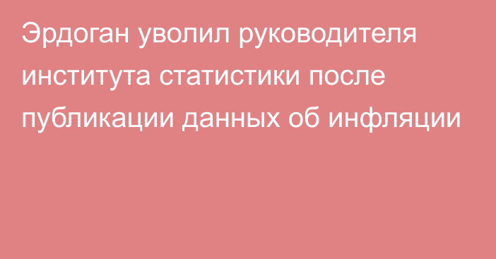 Эрдоган уволил руководителя института статистики после публикации данных об инфляции