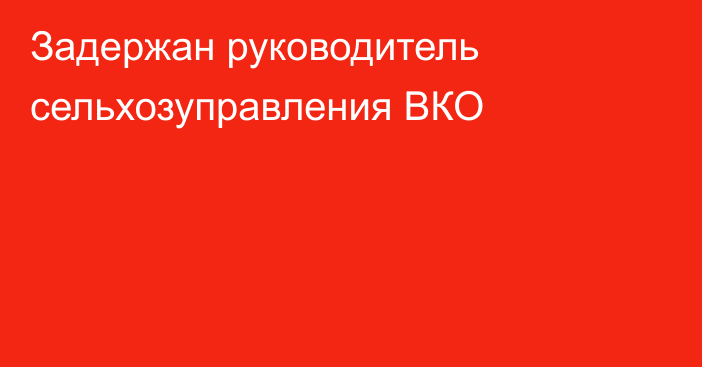 Задержан руководитель сельхозуправления ВКО