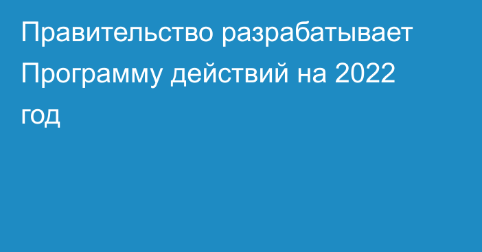 Правительство разрабатывает Программу действий на 2022 год