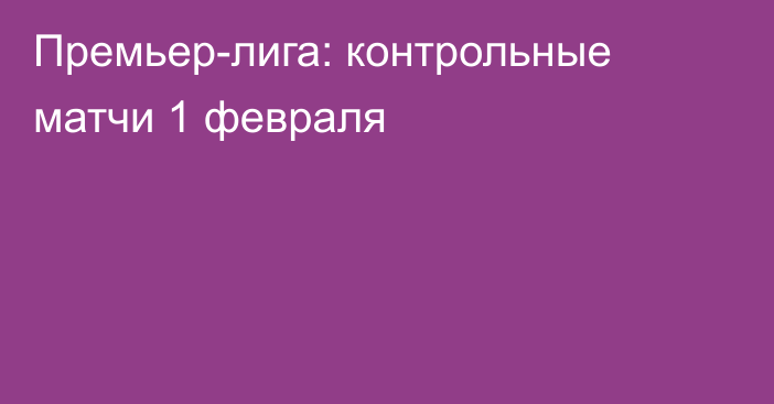 Премьер-лига: контрольные матчи 1 февраля