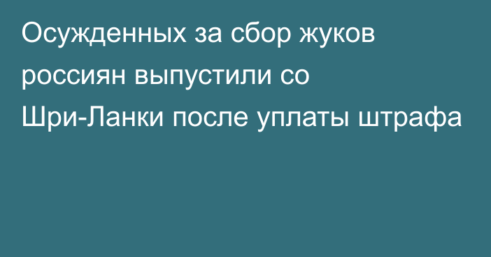 Осужденных за сбор жуков россиян выпустили со Шри-Ланки после уплаты штрафа