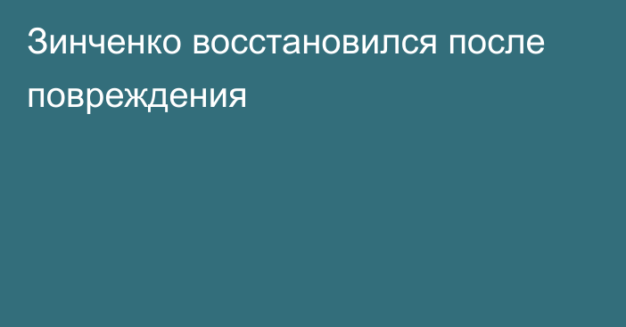 Зинченко восстановился после повреждения