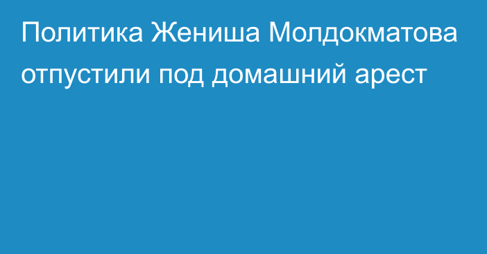 Политика Жениша Молдокматова отпустили под домашний арест