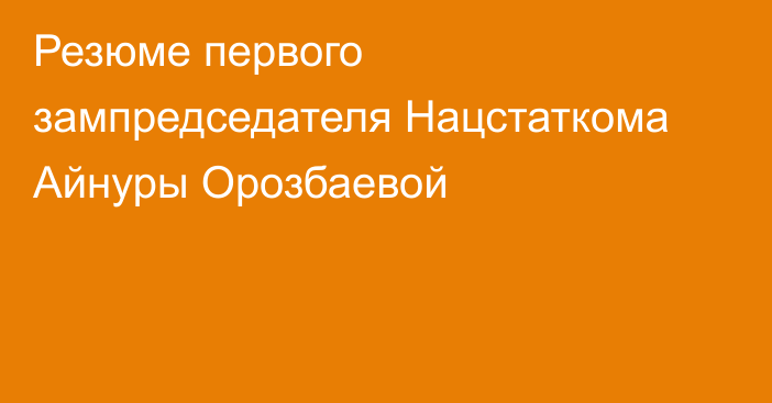 Резюме первого зампредседателя Нацстаткома Айнуры Орозбаевой