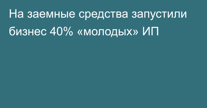 На заемные средства запустили бизнес 40% «молодых» ИП