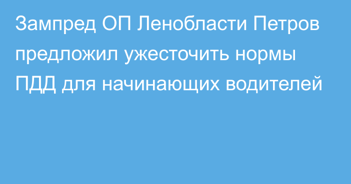 Зампред ОП Ленобласти Петров предложил ужесточить нормы ПДД для начинающих водителей