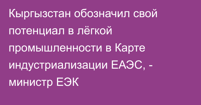 Кыргызстан обозначил свой потенциал в лёгкой промышленности в Карте индустриализации ЕАЭС, - министр ЕЭК