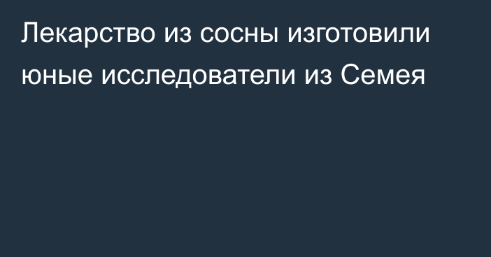 Лекарство из сосны изготовили юные исследователи из Семея