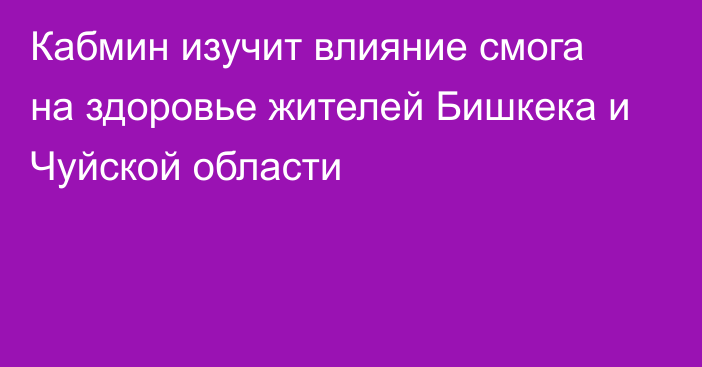 Кабмин изучит влияние смога на здоровье жителей Бишкека и Чуйской области