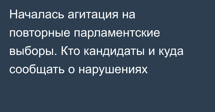 Началась агитация на повторные парламентские выборы. Кто кандидаты и куда сообщать о нарушениях