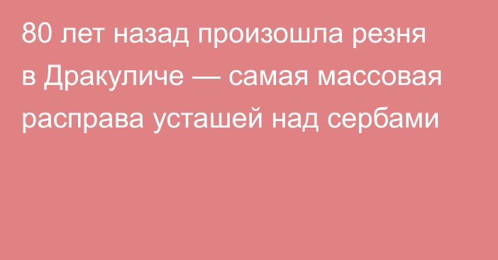 80 лет назад произошла резня в Дракуличе — самая массовая расправа усташей над сербами