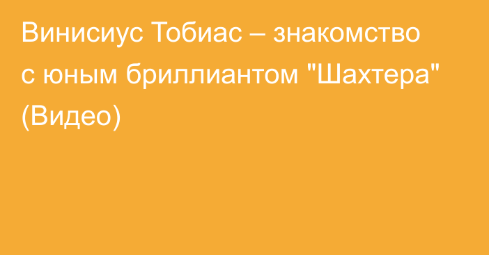 Винисиус Тобиас –  знакомство с юным бриллиантом 