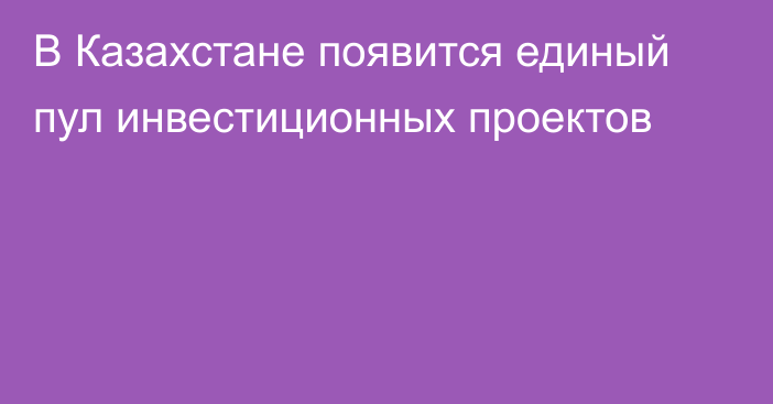 В Казахстане появится единый пул инвестиционных проектов