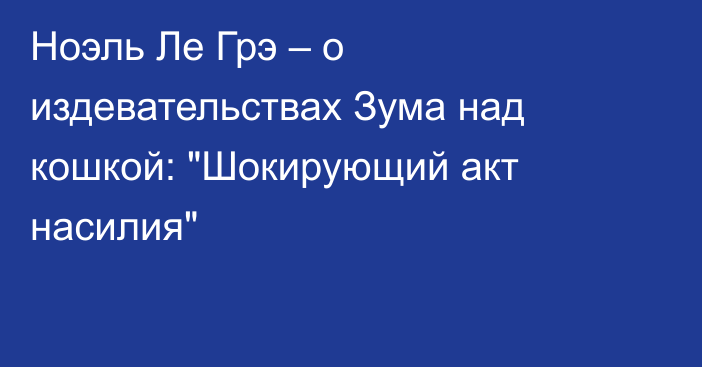 Ноэль Ле Грэ – о издевательствах Зума над кошкой: 