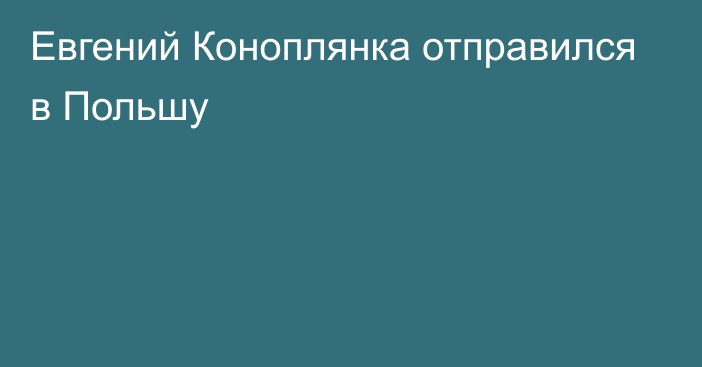 Евгений Коноплянка отправился в Польшу