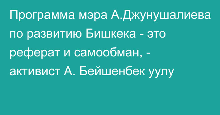 Программа мэра А.Джунушалиева по развитию Бишкека - это реферат и самообман, -  активист А. Бейшенбек уулу