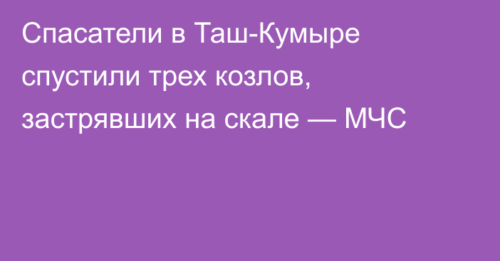 Спасатели в Таш-Кумыре спустили трех козлов, застрявших на скале — МЧС