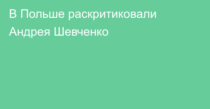 В Польше раскритиковали Андрея Шевченко