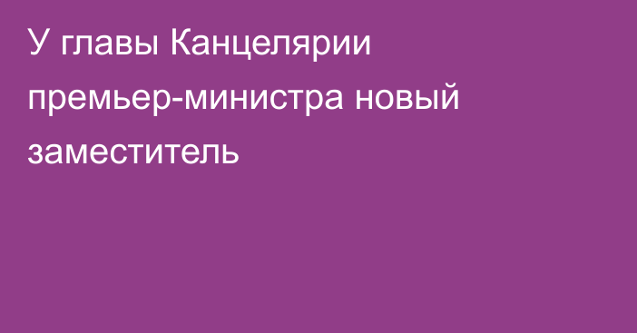 У главы Канцелярии премьер-министра новый заместитель