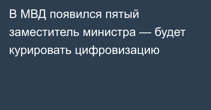 В МВД появился пятый заместитель министра — будет курировать цифровизацию